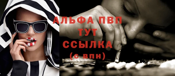 гашик Алапаевск