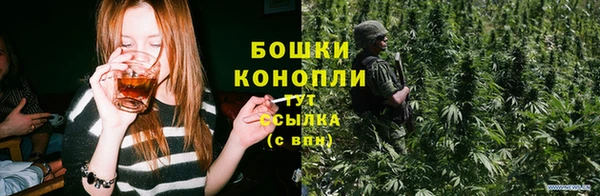 молекула духа Анжеро-Судженск