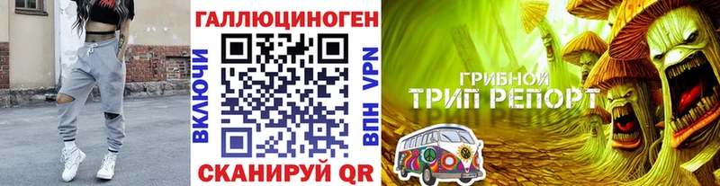 Купить закладки Курлово Псилоцибиновые грибы Magic Shrooms
